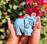 Turquoise Elephant