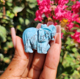 Turquoise Elephant