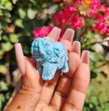 Turquoise Elephant