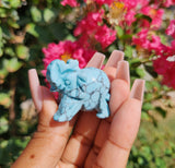 Turquoise Elephant