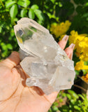 Clear Quartz Cluster