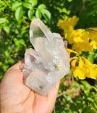 Clear Quartz Cluster