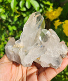 Clear Quartz Cluster