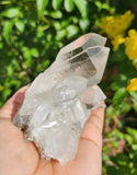 Clear Quartz Cluster