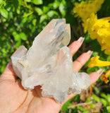 Clear Quartz Cluster