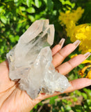 Clear Quartz Cluster