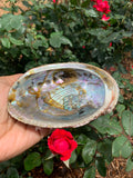 Abalone Smudge Bowl