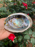 Abalone Smudge Bowl