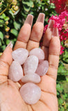 Rose Quartz Tumble