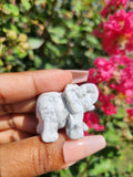Howlite Elephant