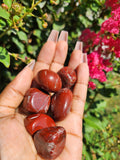 Red Jasper Tumble