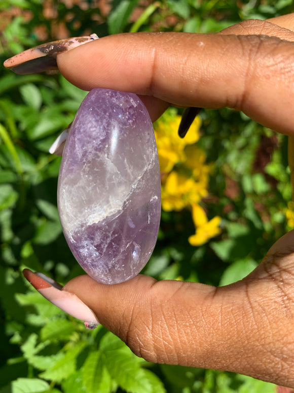 Amethyst Palm