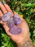 Amethyst Palm